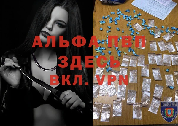кокс Баксан