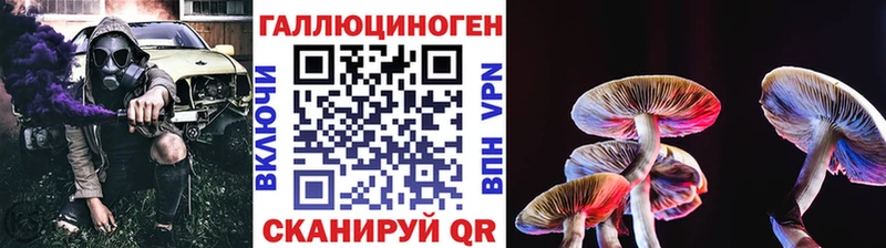 где продают наркотики  Ревда  Галлюциногенные грибы мицелий 